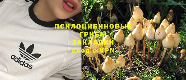 дурь Балахна